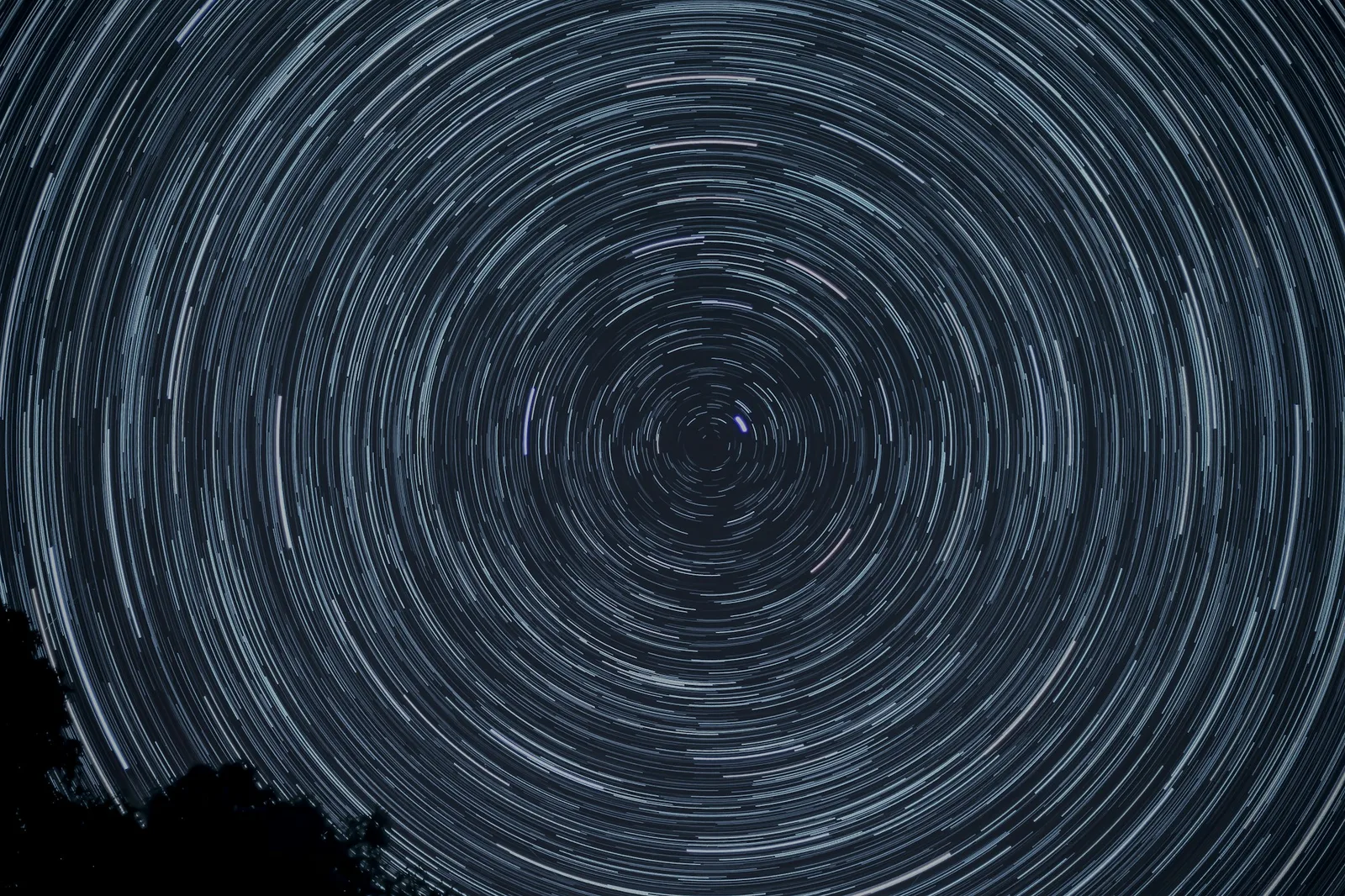 رد دایرهای ستارهها دور قطب آسمان (Patrick McManaman, Unsplash)